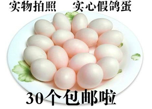 假鸽子蛋 假蛋 注水 实心 鸽子假蛋 鸽子用品 孵卵用品