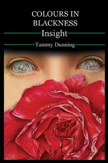 【预售】Colours in Blackness: Insight