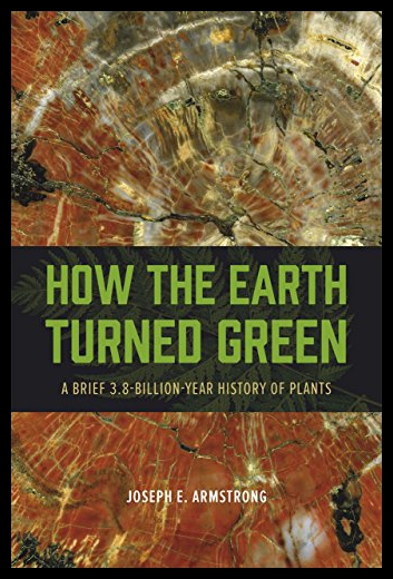 美国库房发货，通常付款后5-8周到货！