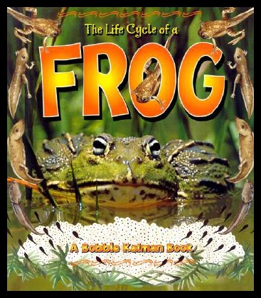 【预售】the life cycle of a frog