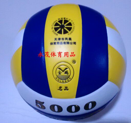 Ballon de volley - Ref 2016087 Image 1