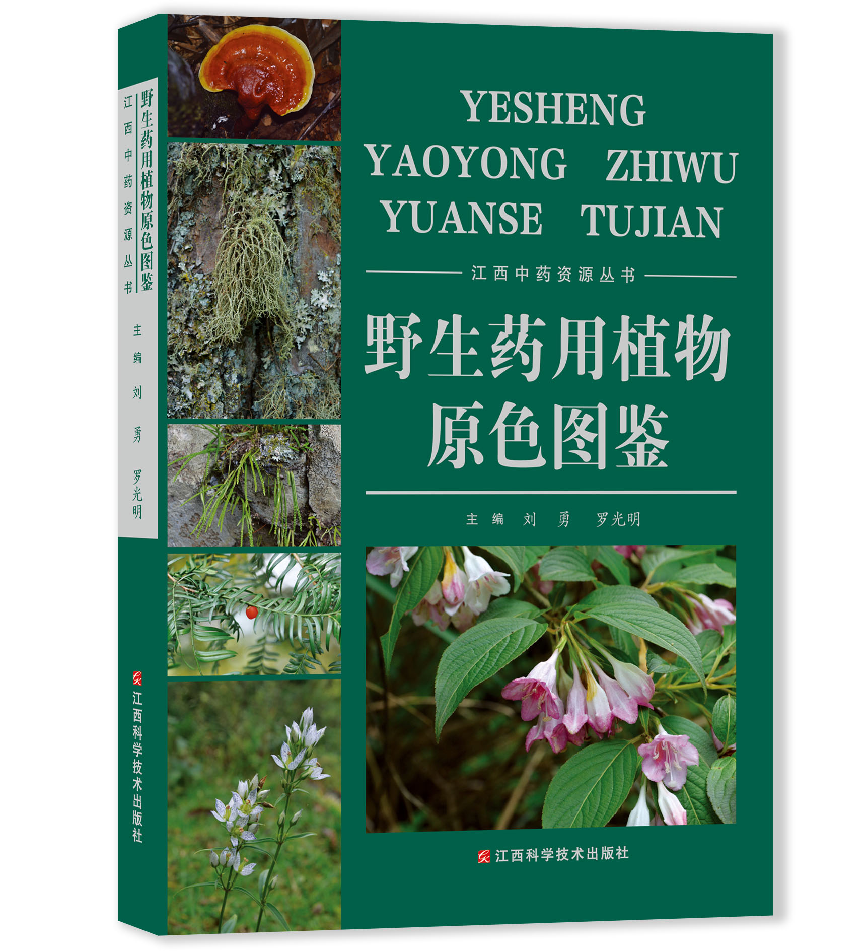 分区包邮官网正版野生药用植物原色图鉴刘勇罗光明