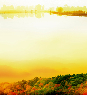 风景画海报秋景枫叶林黄金叶遍地黄金海报画卧室客厅装饰画J1146C