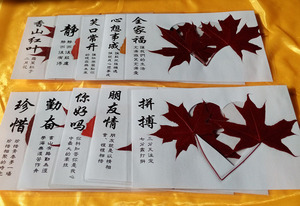 剪纸香山红叶贺卡片枫叶标本蝴蝶书签新年手工特色创意中国风
