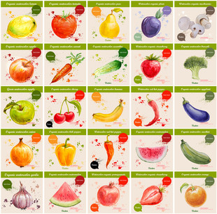 A0140矢量AI设计素材 25张水彩手绘蔬菜水果西瓜草莓蘑菇西兰花