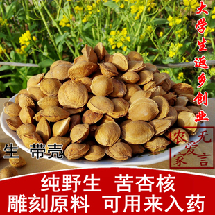 农家 野外采摘 药用杏核 苦杏核 山杏核 生 苦杏仁(带壳）250g