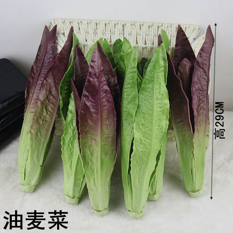 仿真蔬菜 PU油麦菜 油麦菜模型 橱柜商场样板房装饰摆设幼儿玩具,家居饰品,仿真水果,淘宝优惠券,粉丝福利购,淘宝优惠卷