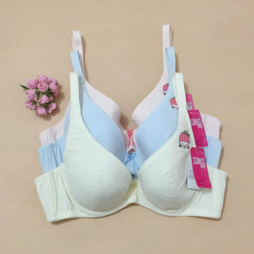 BLOSS全罩杯软钢圈少女文胸