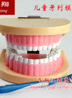 儿童牙列模型 J39052 小学科学实验器材 中学生物仪器 教学仪器