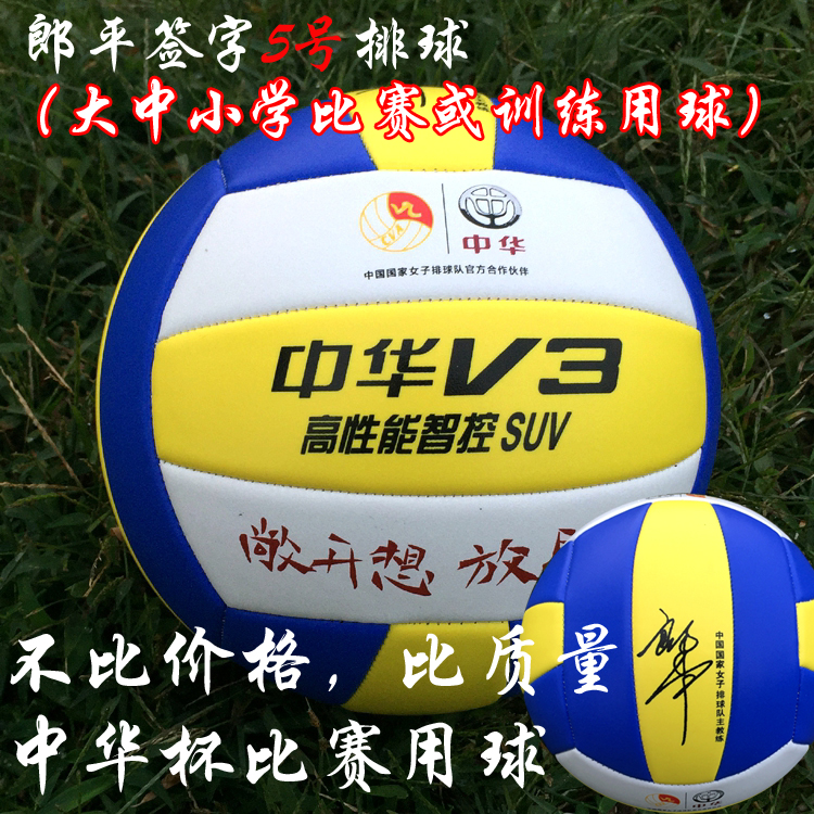 Ballon de volley-ball - Ref 2008006 Image 1