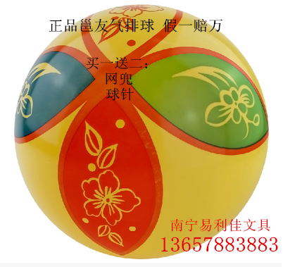 Ballon de volley - Ref 2010050 Image 1