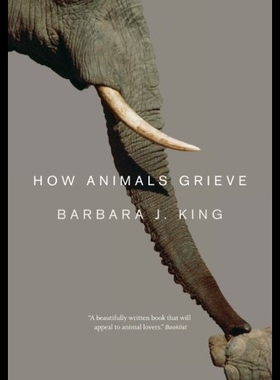 【预售】How Animals Grieve