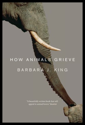 【预售】How Animals Grieve