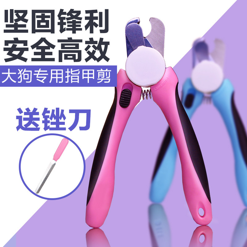 你这狗啥品种啊？蜜汁笑容：中华田园犬