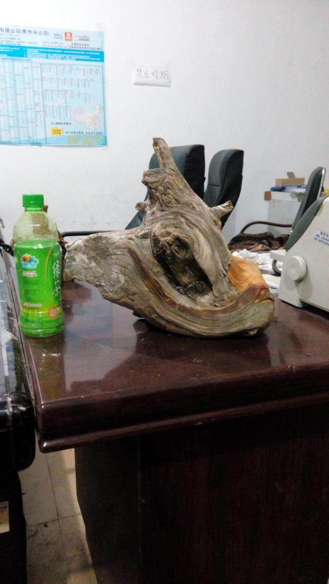 Taihang Thuja Aging Powder Old material Root Marked modelling Novice No polish Decorationin the Home accessories , Carving , Root  category - from Buy2taobao.com to provide professional Taobao agent buy service