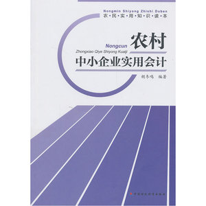 农村中小企业实用会计