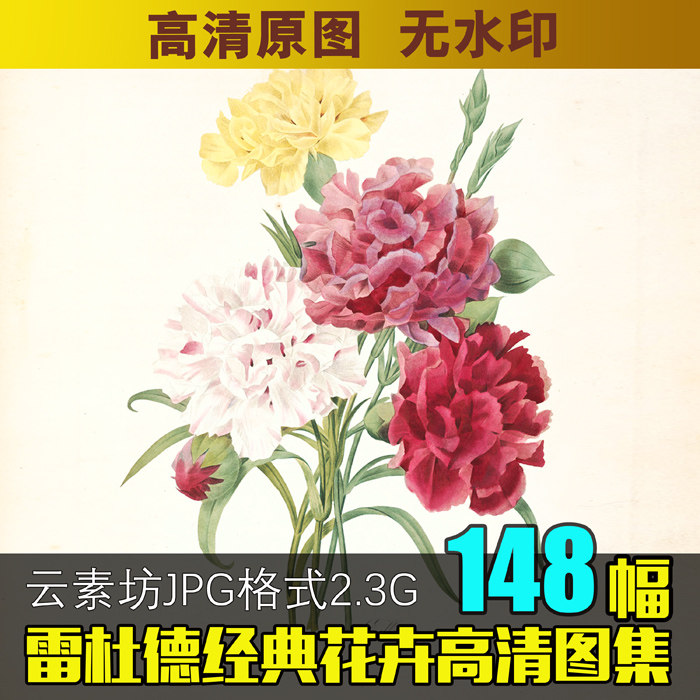 雷杜德经典花卉高清图集植物花卉图片素材叶子花朵插画图库装饰画