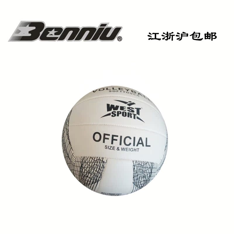 Ballon de volley - Ref 2010633 Image 1