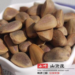 500g 东北长白山野生新鲜松子原味零食坚果新货生果正宗宽甸特产