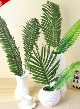 仿真波斯绿植拍摄道具摆件装饰花