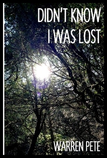 Didn Know Lost Was 预售