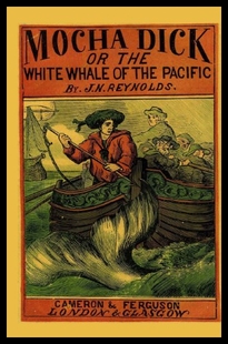 Dick 预售 Pacific Whale Mocha White the