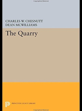 【预售】The Quarry