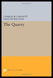 【预售】The Quarry
