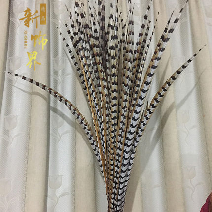 京戏翎子天然山鸡毛地鸡尾野鸡羽毛山鸡毛  舞台装饰道具60-175cm
