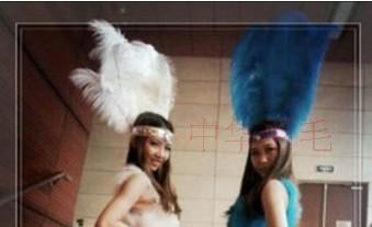 桑巴表演头饰发饰道具配饰服饰