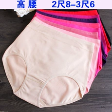 Áo thun nữ 5 sọc hông bụng tam giác eo cao đồ lót cotton cỡ lớn đồ lót N6