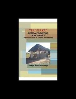 美国库房发货，通常付款后5-8周到货！