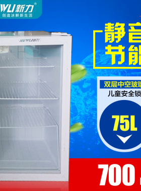 新力饮料茶叶立式冰箱冰柜