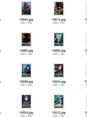 WS 黑白双翼 卡牌 刀剑神域必闪2  c卡 闪卡
