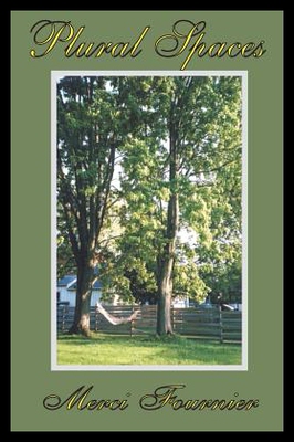 【预售】Plural Spaces