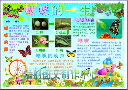 内容可以修改 一页word文档A4/八开/A3/四开电子小报成品 需要哪种规格请在发货之前说明，如果对尺寸规格没有要求默认发A4 其中的文字可以编辑修改可以作为模板使用 发货方式是拍下后发电子稿到邮箱 请在订单备注中注明邮箱地址