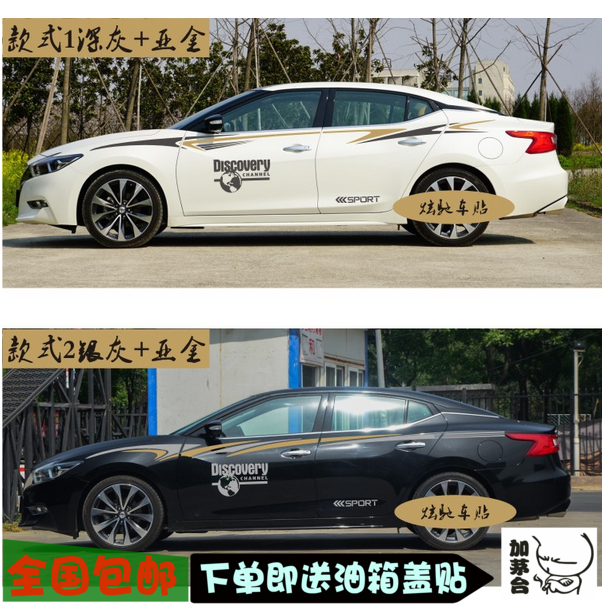 西玛拉花轩逸新蓝鸟装饰贴