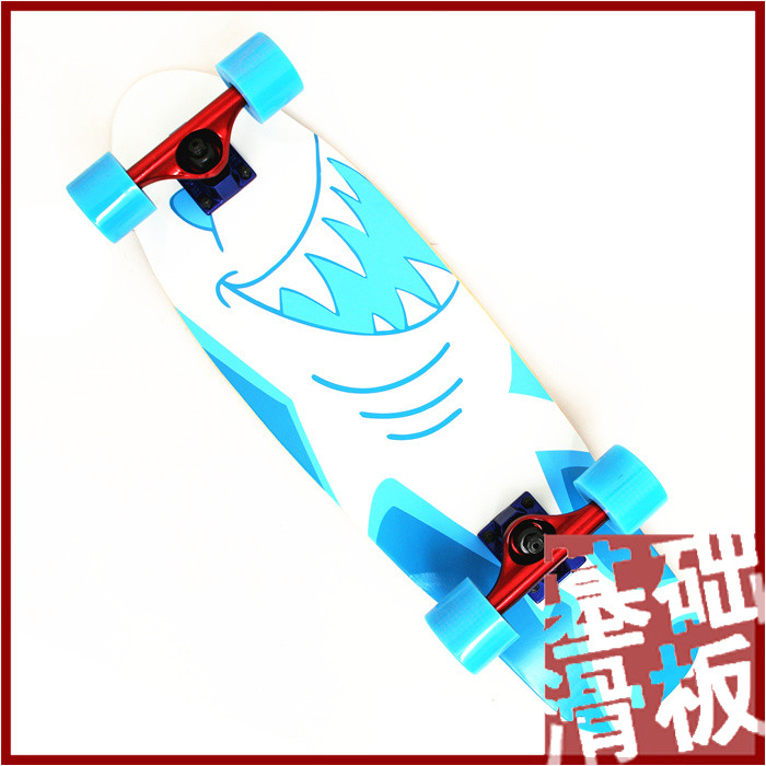 Skate pour homme femme ROUGH - Ref 2597444 Image 1