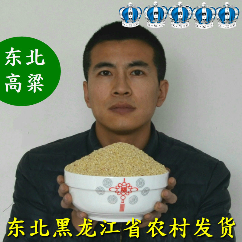 2025年东北黑龙江五常新鲜高粱米酿酒高粱米