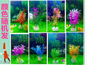鱼缸造景水草 水族箱装饰 小号绿色水草 迷你小草前景 仿真水草