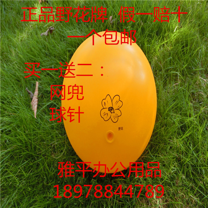 Ballon de volley - Ref 2009619 Image 1