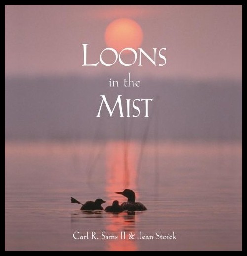 【预售】loons in the mist