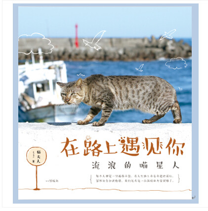 正版新书  在路上遇见你 台湾拍猫人、猴硐发现者猫夫人的“猫言猫语” 疗愈身心的随笔 书店 猫夫人 中国现当代随笔书籍 书