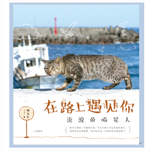 正版新书  在路上遇见你 台湾拍猫人、猴硐发现者猫夫人的“猫言猫语” 疗愈身心的随笔 书店 猫夫人 中国现当代随笔书籍 书