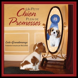 Petit Chien Plein Promesses 预售