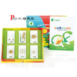 新款米饭是怎么来的幼儿园儿童科学实验认识稻谷秧苗稻穗大米包埋