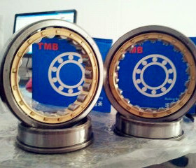 TMB天马轴承 原装正品 RN204E RN204M 502204 20*40*14