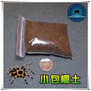 热销宠物捕鸟蜘蛛蝎子专用椰土（小包）另有白膝所罗门玫瑰