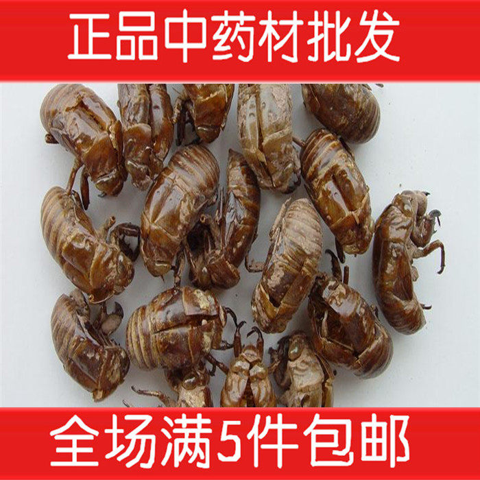 中药材批发 蝉蜕 蝉衣 知了壳 蝉脱   250克280元