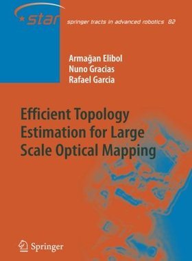 【预订】Efficient Topology Estimation for La...